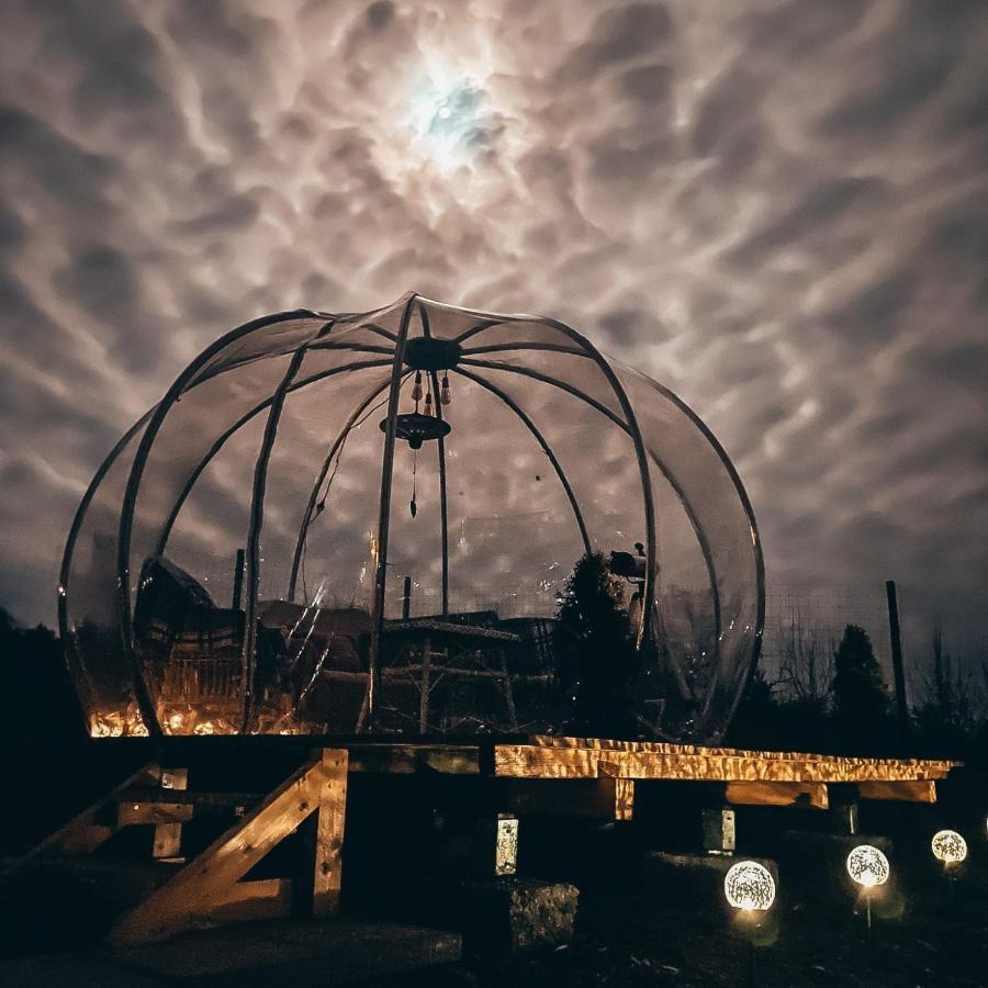 The Wooden Nest -Covasna Villa Kültér fotó