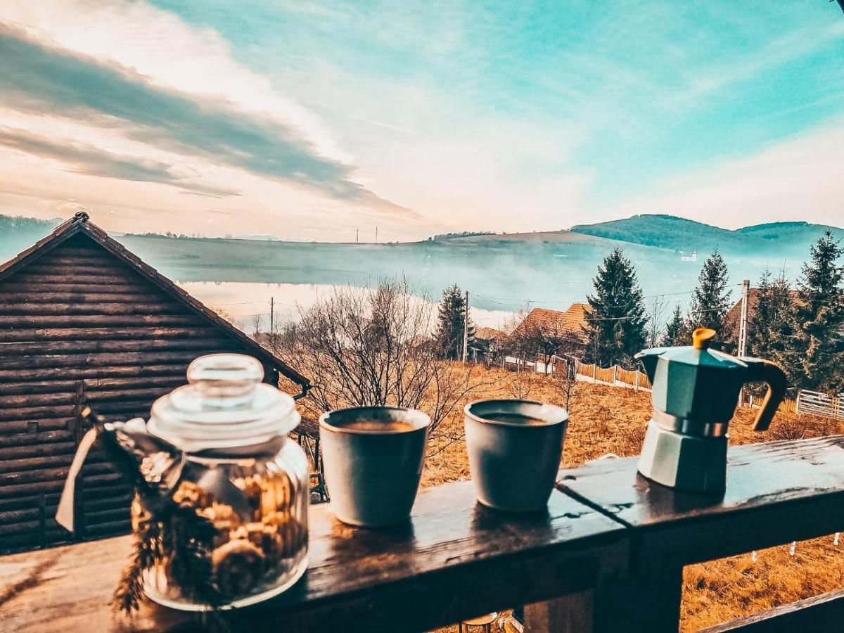 The Wooden Nest -Covasna Villa Kültér fotó