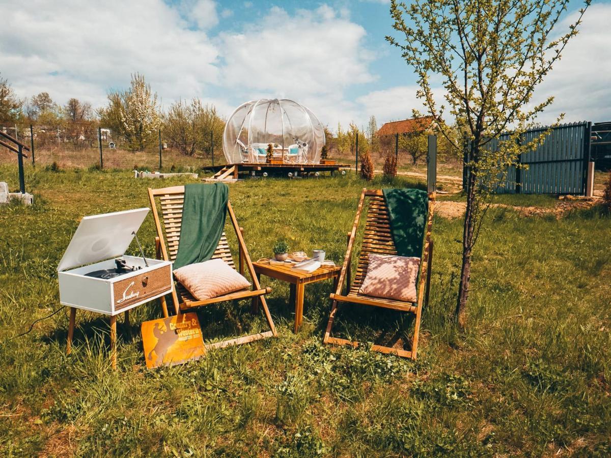 The Wooden Nest -Covasna Villa Kültér fotó