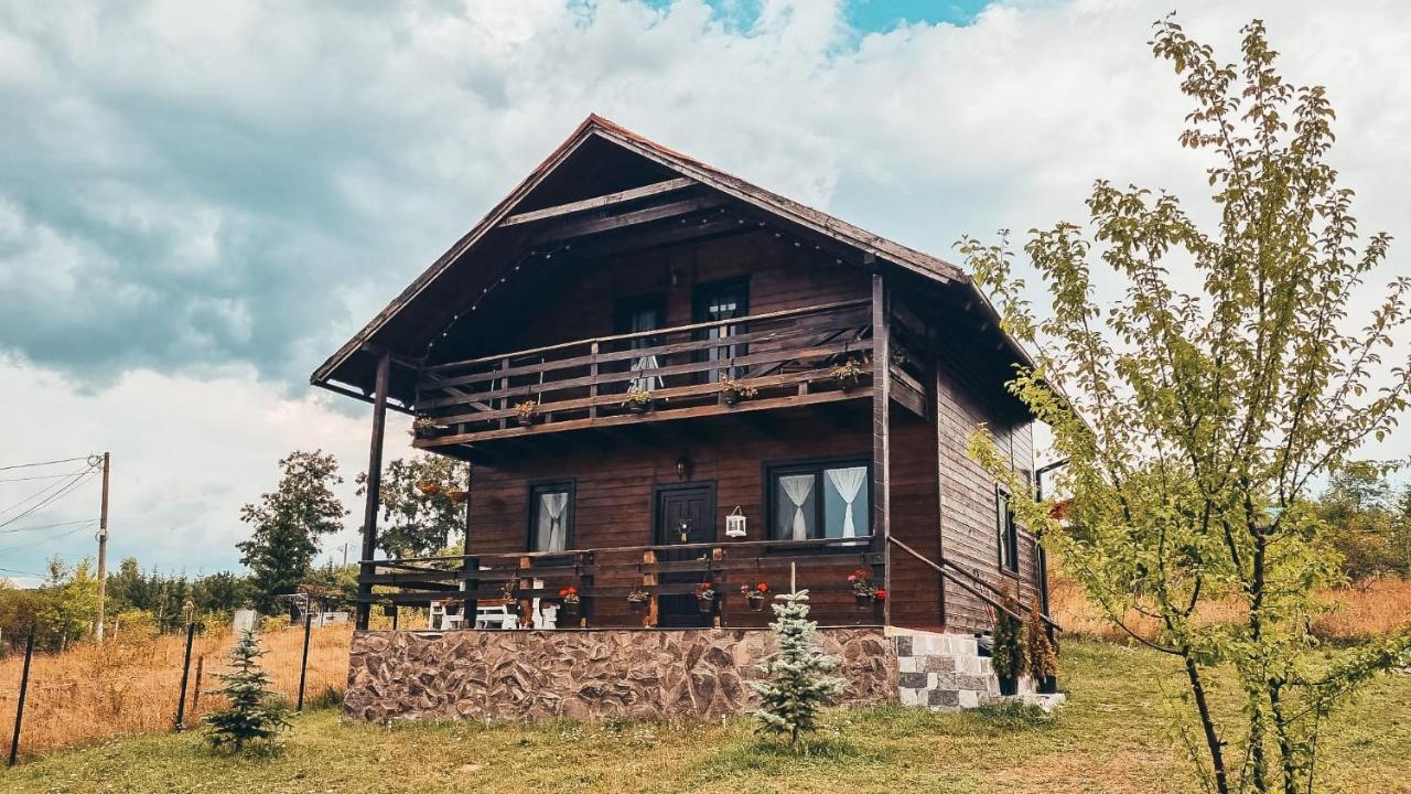 The Wooden Nest -Covasna Villa Kültér fotó