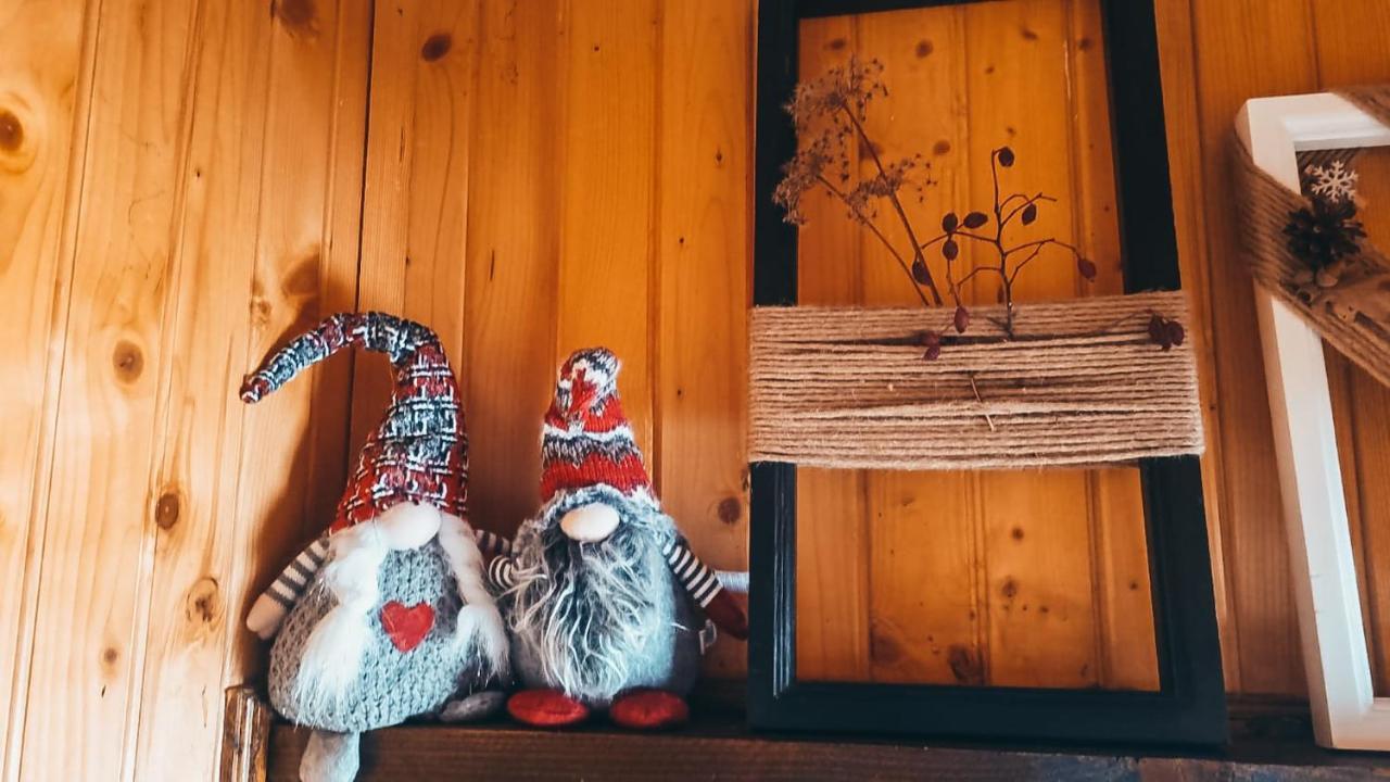 The Wooden Nest -Covasna Villa Kültér fotó